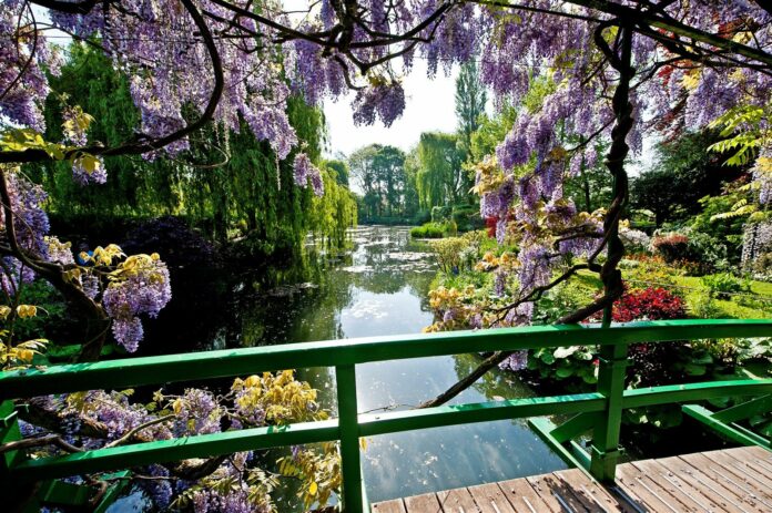 Захватывающий мир красоты - смотровые сады в стиле Англии, Японии и Средиземноморья!