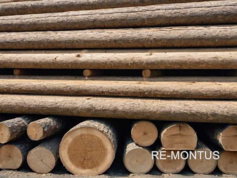 Выбор и осмотр древесины