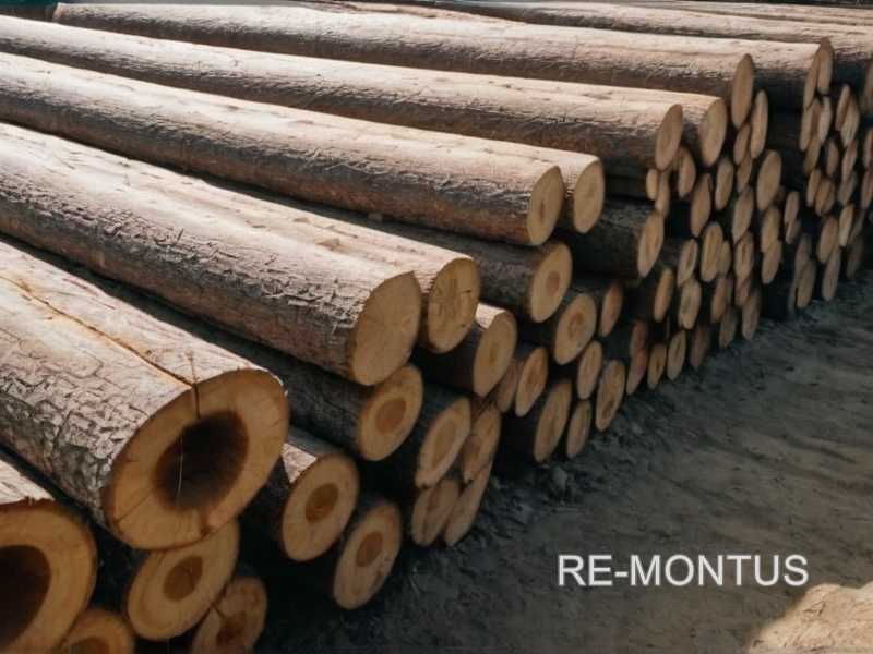 Рекомендации по выбору обработки древесины для стеллажей