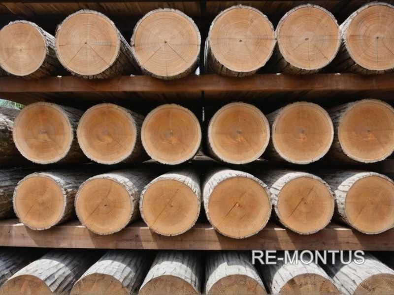 Какие породы древесины лучше всего подходят для реставрации картин