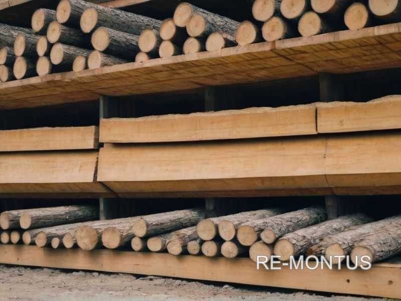 Материалы для строительства: какой тип дерева лучше использовать