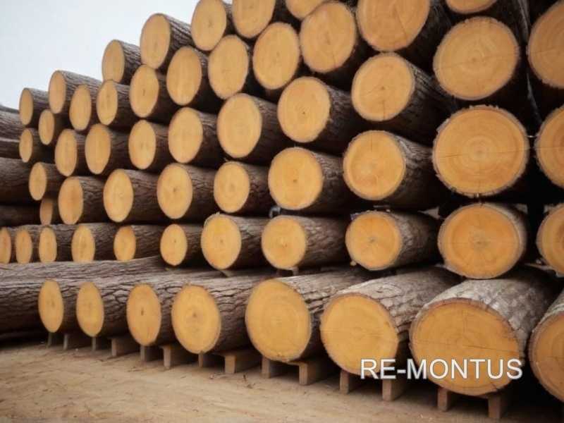 Как правильно ухаживать за декоративными панелями из древесины на потолке
