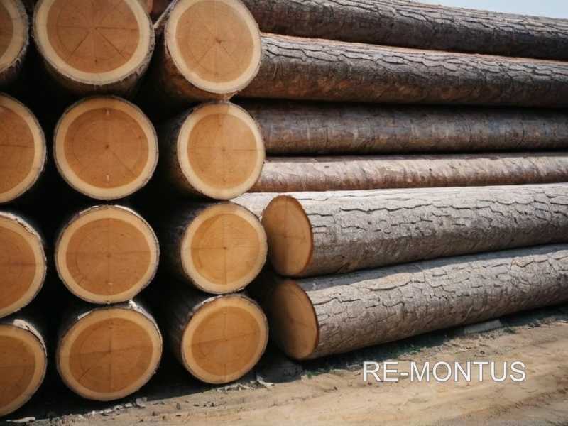 Плотность древесины и ее влияние на проект склада