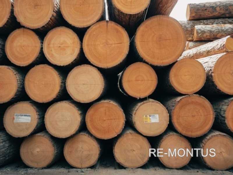 Как разместить скамейку в саду: выбор подходящего места