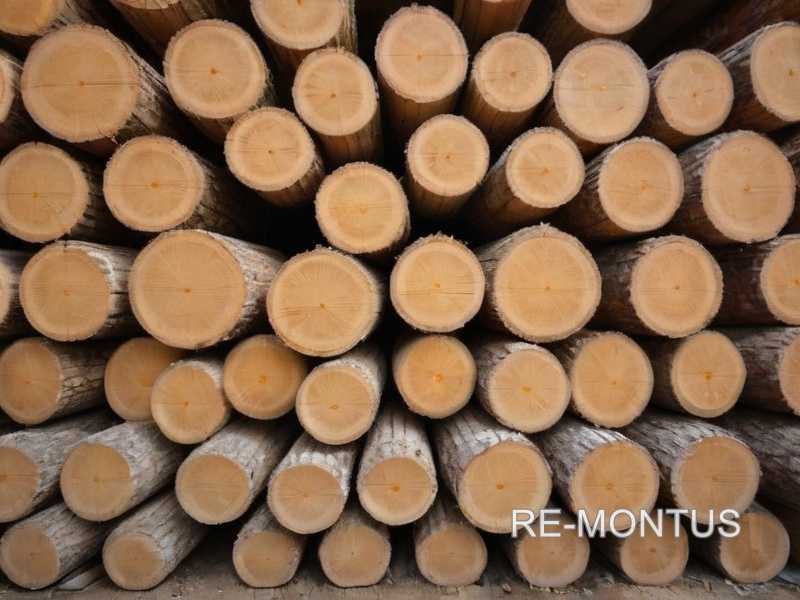 Основные характеристики древесины для оконных рам