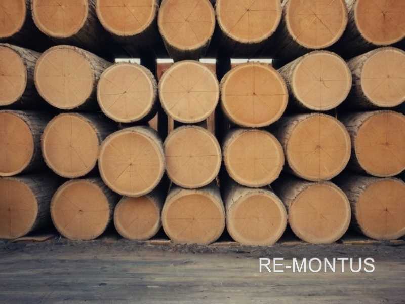 Долговечность массива: как выбрать качественное дерево